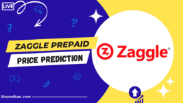 Zaggle Share Price Target Prediction