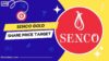 Senco Gold Share Price Target