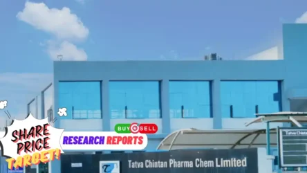 Tatva Chintan Pharma Share Price Target Q4FY24 Results: Buy, Sell or Hold?
